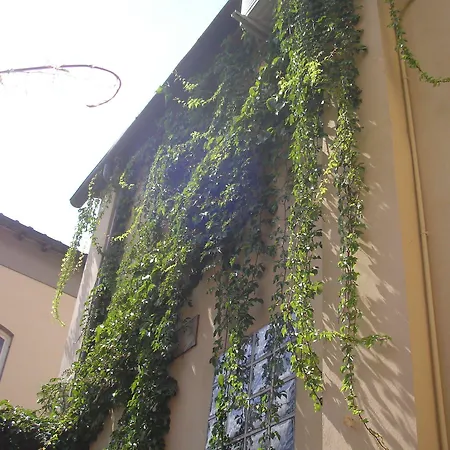 Antica Residenza Santa Chiara -city Center Gæstehus Lucca